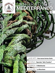 clicca per visionare l'immagine ingrandita