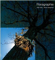 clicca per visionare l'immagine ingrandita