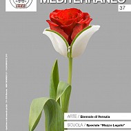 clicca per visionare l'immagine ingrandita