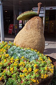 clicca per visionare l'immagine ingrandita