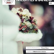 clicca per visionare l'immagine ingrandita